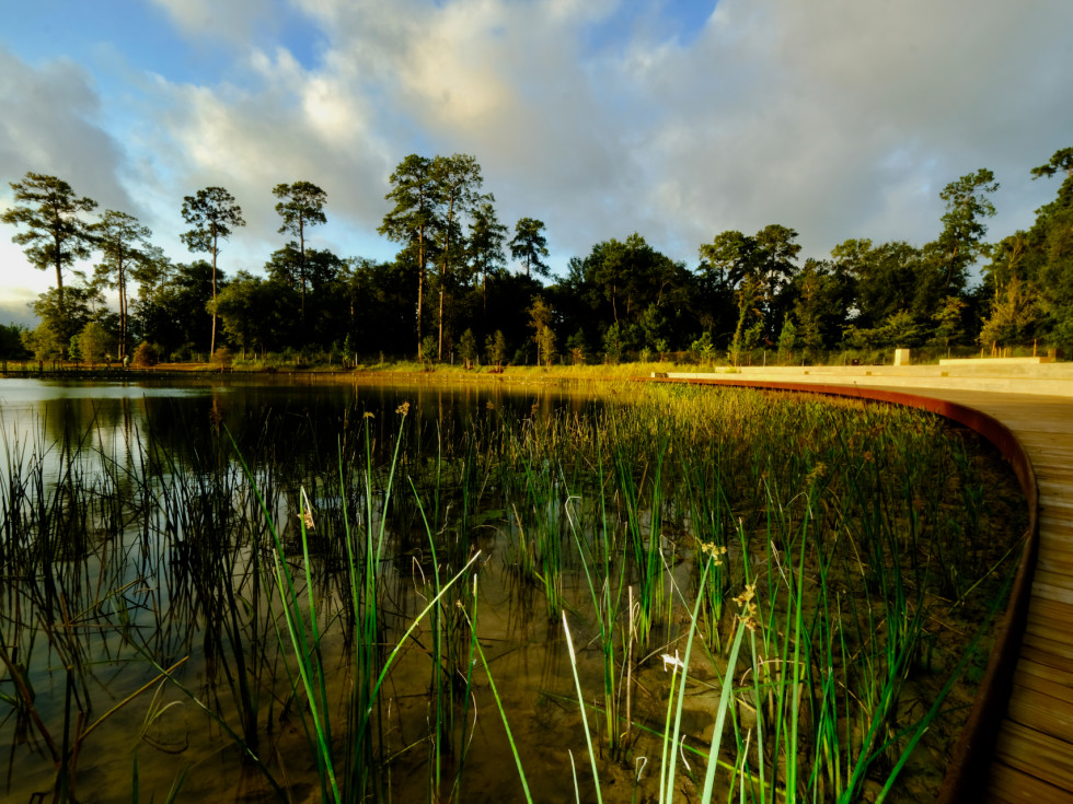 Houston Botanic Garden_Arid Valley.jpg 