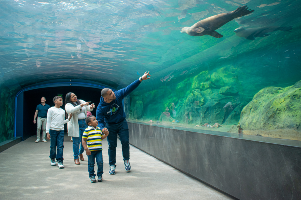 Houston Zoo