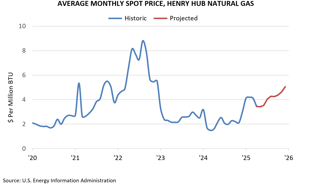 AVERAGE MONTHLY SPOT PRICE, HENRY HUB NATURAL GAS