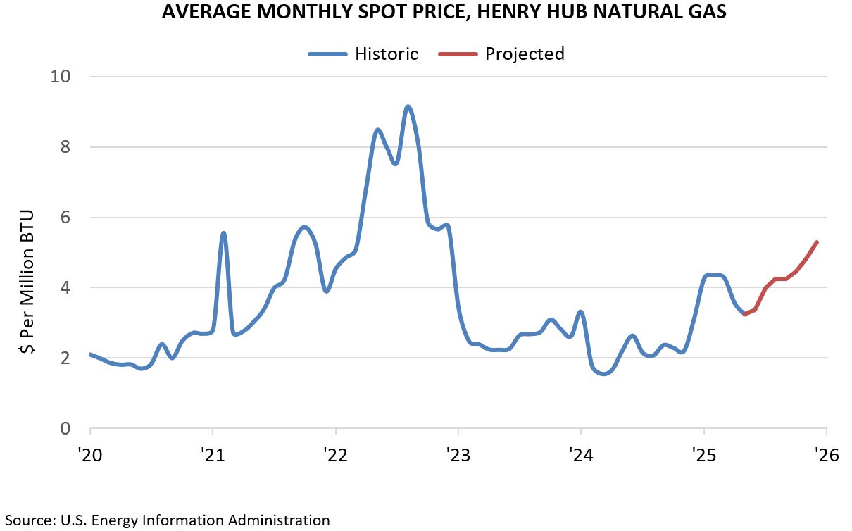 AVERAGE MONTHLY SPOT PRICE, HENRY HUB NATURAL GAS